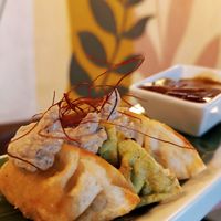 Gyozas at VEGA - Alamo in Madrid
