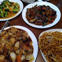 Garlic broccoli, spicy Bok Choi, spicy aubergines, chow mein and rice at Aroma Cafe in Fort William