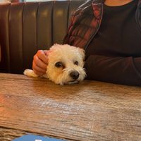   at BrewDog in Birmingham