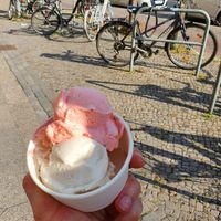 Erdbeer und Mandel-Vanille at Faldon Eismanufaktur in Berlin