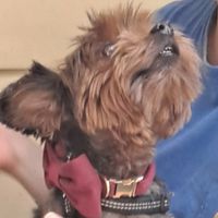 Things are lookin' up, my friend! at SunCafe in Studio City