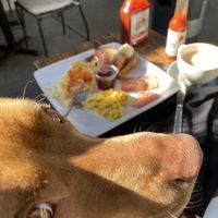 Dog friendly #Veganuary at SunCafe in Studio City