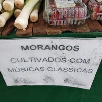 Morangos não mofados at Govinda Lanches in Porto Alegre