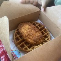   at Nuno's Tacos & Vegmex Grill in Dallas