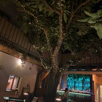   at Timoleone Veggie Restaurant & Cocktail Bar in Taormina