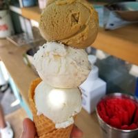  at The Cone Culture in Tbilisi