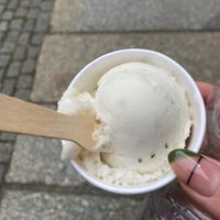   at Tiki im Kunsthof in Dresden