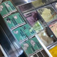   at Tiki im Kunsthof in Dresden