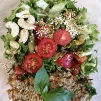 Fresh vegan salad at OJO in Trencin