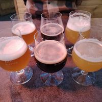  at Triple Point Brewery & Bar in Sheffield