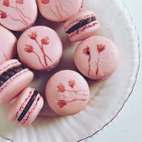 Vegan chocolate Macarons  at Local Vegan in Seattle