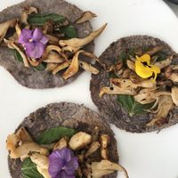 Mole (chocolate and chili sauce) tacos  at Vegan Inc in Puebla