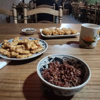 Friend Spring Rolls + Tofu with lemongrass and brown rice at Ngon Vegan Restaurant in Tam Coc
