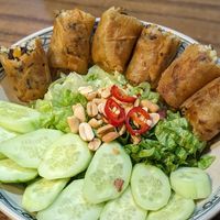 Fried Spring Rolls with Noodles at Ngon Vegan Restaurant in Tam Coc