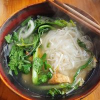 Vegan Pho at Ume no Hana in Hamburg