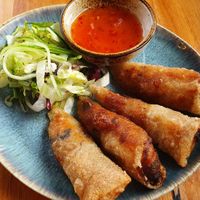 Vegan spring rolls at Ume no Hana in Hamburg