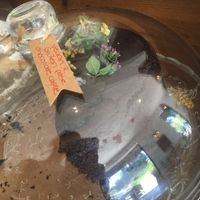 Vegan chocolate cake at Boath Garden Cafe in Nairn