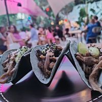 Mushroom tacos. Amazing! at Las Dalias in Ibiza
