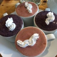 4 mini smoothies come with the Tea for Two - delicious! at Luna's Vegan Corner in Cardiff