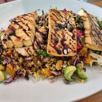  at Luna's Vegan Corner in Cardiff