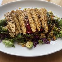   at Luna's Vegan Corner in Cardiff