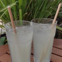Limonadas at Casa da Terra in Ponte De Lima