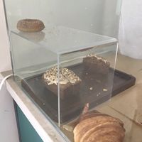 Desserts (or what was left) at Val's Vegan Bake Shop in Hollywood