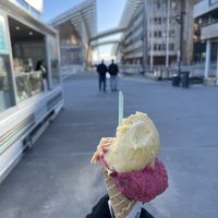   at Paradis - Tjuvholmen in Oslo