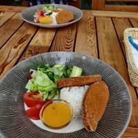 Vegan schnitzel, 10/10 at Uzupio Kavine in Vilnius