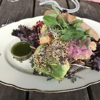 Vegan sandwich with a lot of delicious hummus, pickled red onions and a lot of greens  at Cafe Holmen in Nykobing Mors
