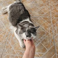 Good companies at Garros DeliGATessen in Mexico City