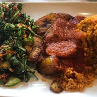 King of Africa at TRIBE in South West London