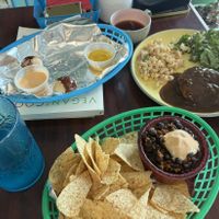   at Frannie's Vegan Cafe in Johnson City