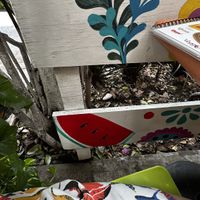 Outdoor seatingg  at Veggicano Plant Based in Mexico City