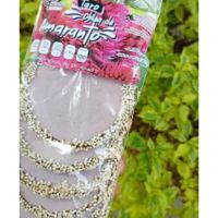  at Veggicano Plant Based in Mexico City