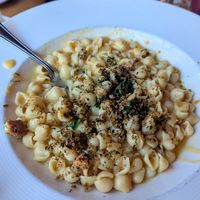Mac and cheese at Watercourse Foods in Denver