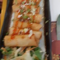 Spring rolls at Green Tea Dim Sum Bar in Amsterdam