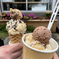   at Vashti Rose in Port Moody