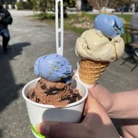   at Vashti Rose in Port Moody