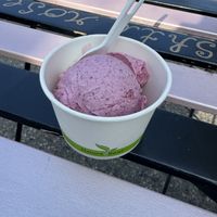 Vegan blueberry lemon  at Vashti Rose in Port Moody
