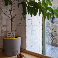 Plum and peanut vegan gelato at Melt Cafe in Zagreb