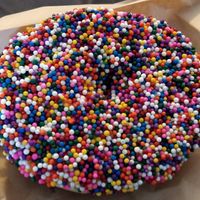  at bloomer's in Toronto