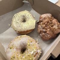   at bloomer's in Toronto