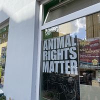   at Veganski  in Kiel