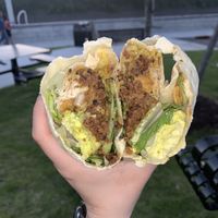 Roswell Burrito at Burrito Burrito at Wizard Burger in Albany