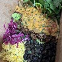 Philluminati burrito bowl   at Burrito Burrito at Wizard Burger in Albany