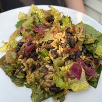 Burrito bowl, mixed   at Burrito Burrito at Wizard Burger in Albany