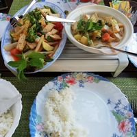No.55 (Vegan) & No.100 (Vegan) at Vietnamese Reiskorn in Metzingen