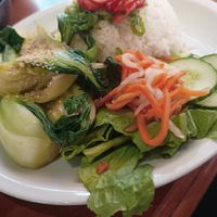 main course at MeMe Vietnamese Food in Rotterdam