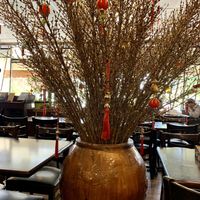 Pretty ✨ at Bo De Tinh Tam Chay - Beach Blvd in Westminster